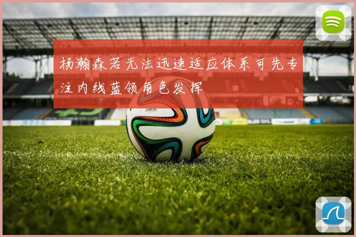 杨瀚森若无法迅速适应体系可先专注内线蓝领角色发挥