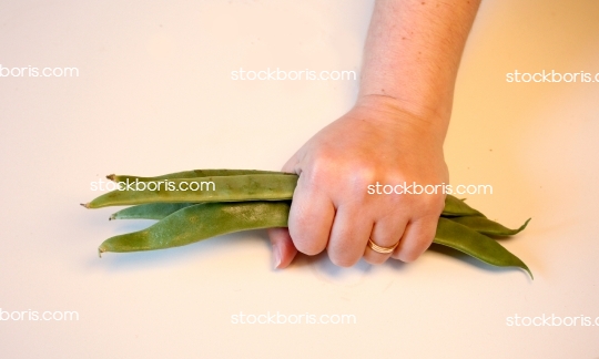 A hand holding green bean pods.