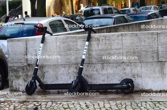 Bird scooters parked in the street in Lisbon.