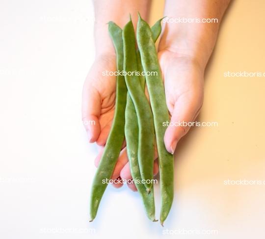 Hands holding green bean pods.