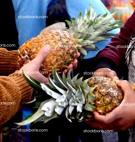 Hands holding two pineapples.