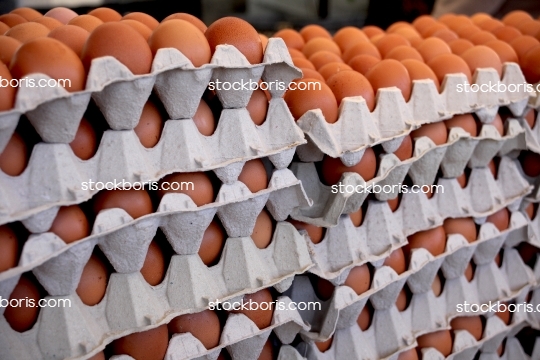 Side view of brown eggs in boxes at a market.