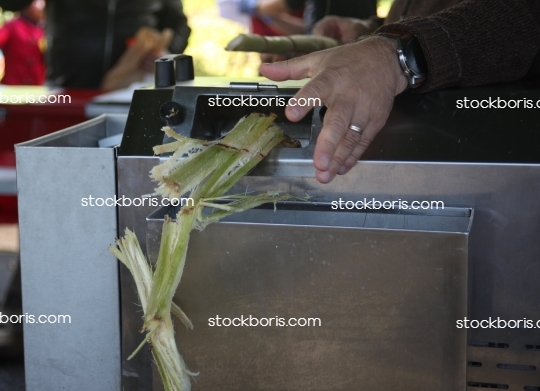 Sugar cane grinder. Grinding machine.