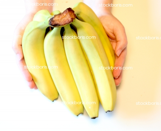 Two hands holding a bunch of bananas.