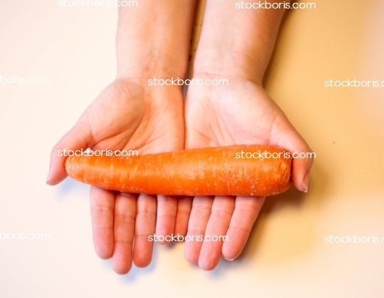 Two hands holding a carrot.